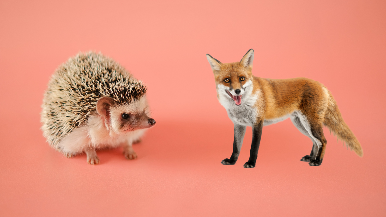 Why do maintenance improvement initiatives fail to deliver? (Hedgehog or Fox?)