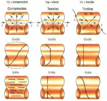 appearance face, compression, tension, torsion
