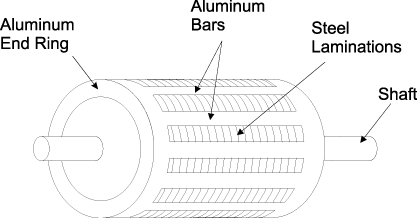 Construction of an AC induction motor's rotor