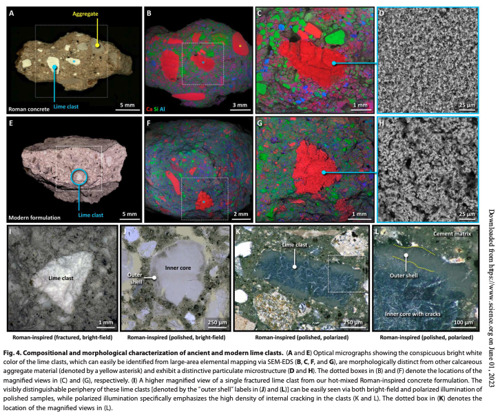 compositional and morphological characterization of ancient and modern lime clasts