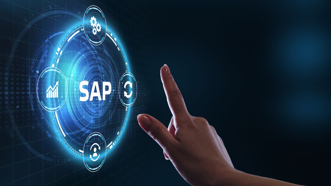 Working with SAP Master and Transactional Data