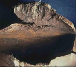 hydrogen damage tube failure