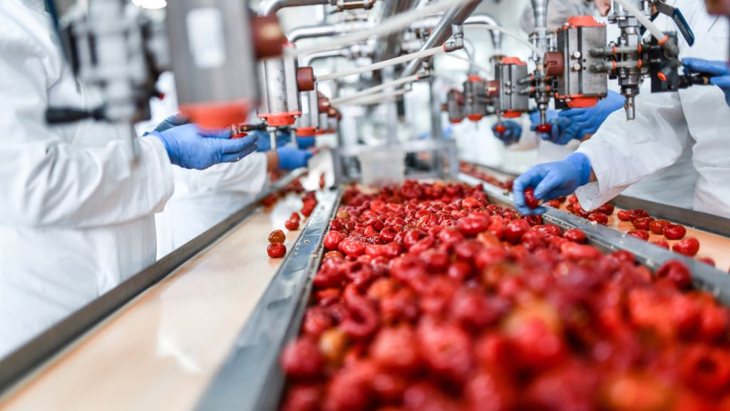 fruit and vegetable processing